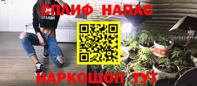 прущие грибы Чебоксары
